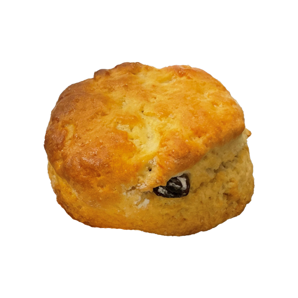 Fruit Scone